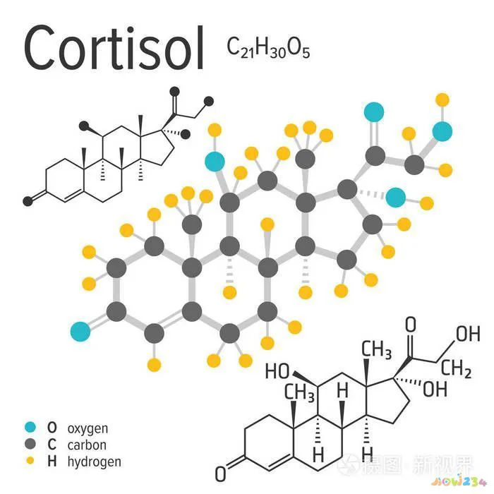 运动减肥不但没瘦反而_减脂运动不瘦还胖了_做运动没有瘦