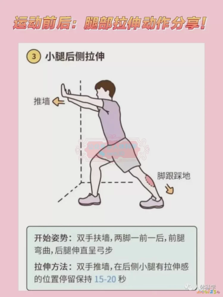 拉伸运动_拉伸运动正确做法视频_拉伸运动长高正确做法