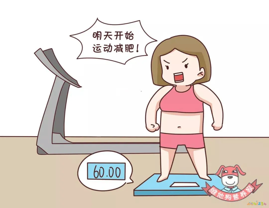 蛋白粉应该运动前喝_运动前喝蛋白粉_蛋白粉运动前喝还是运动后喝好