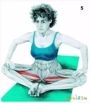 拉伸运动图片动作大全_拉伸运动图片动作视频_运动拉伸动作图片