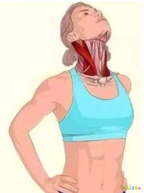 减肚子运动视频郑多燕_怎么减副乳运动视频_减胸运动视频