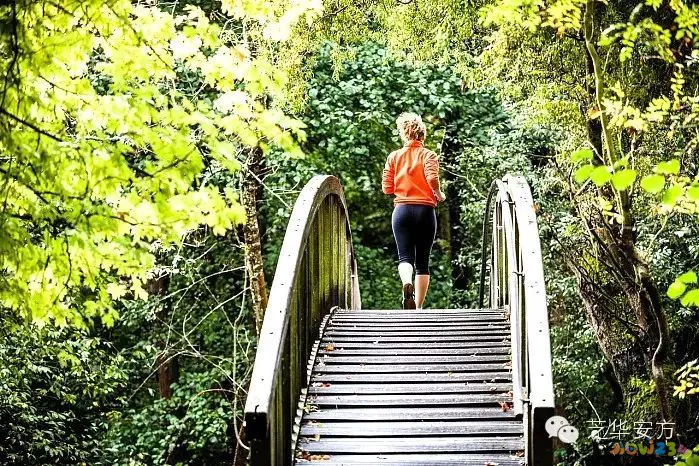 动感有氧减肥操视频_运动吸氧减肥_为什么有氧运动能减肥