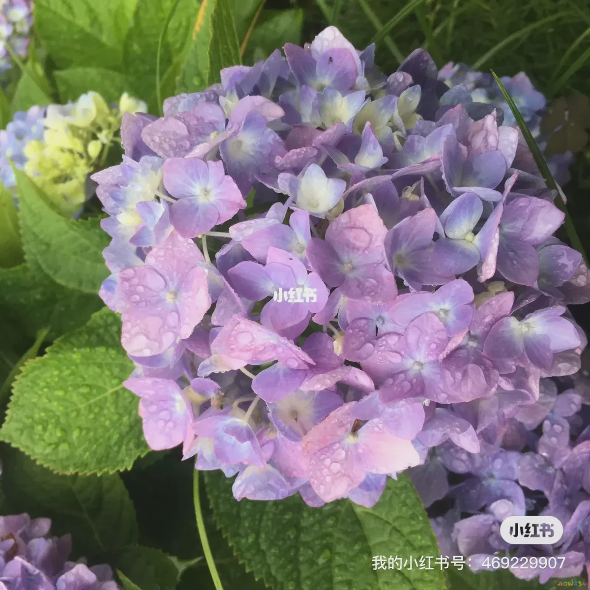 减肥运动方法好的有哪些_减肥最好的运动方法_减肥运动方式