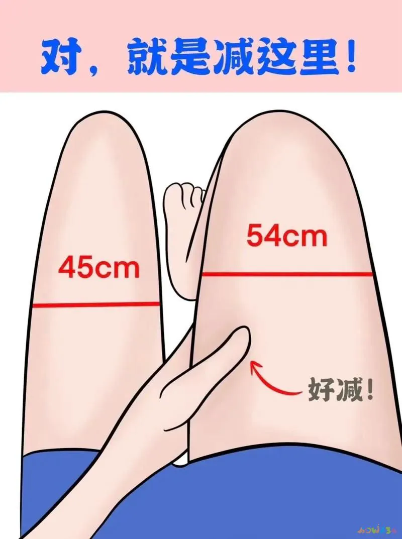 大腿脂肪运动会减掉吗_大腿脂肪消耗运动能量吗_怎样运动消耗大腿脂肪
