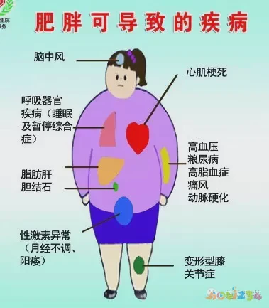 减肥能运动吗_减肥能运动的项目_怎样不运动也能减肥