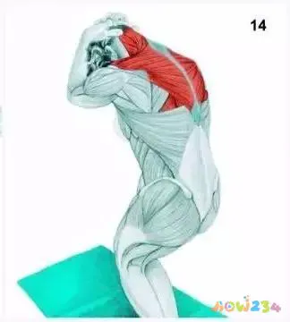 拉伸运动图片动作大全_运动拉伸动作图片_拉伸运动图片动作视频