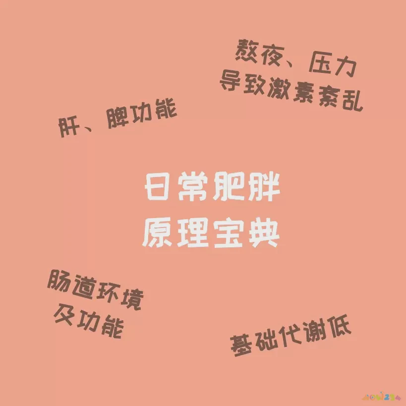 白领减肥计划_白领 运动减肥_白领减肥食谱