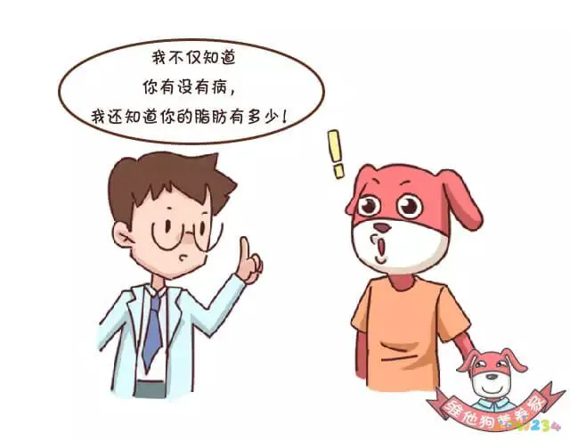 怎么运动减胸围_怎么运动减胸围_怎么运动减胸围