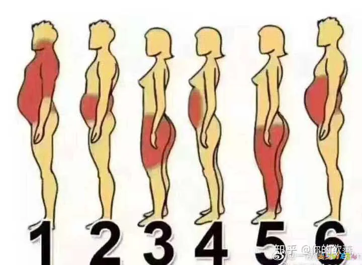 减肥运动好累_减肥最好的运动_减肥运动好还是控制饮食好