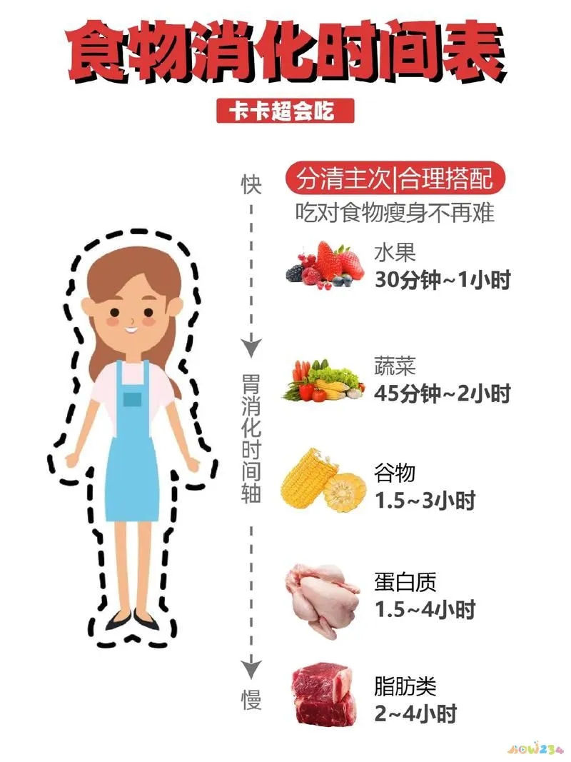 蛋白粉应该运动前喝_蛋白粉运动前喝还是运动后喝好_运动前喝蛋白粉