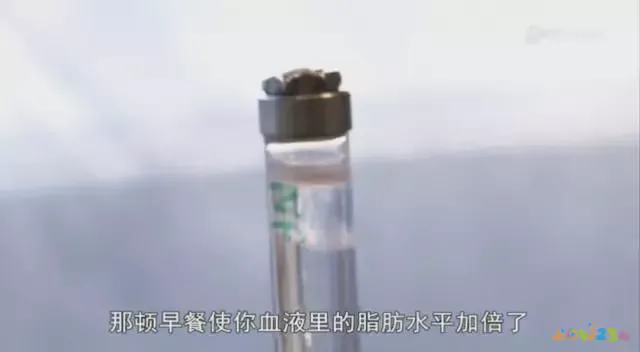 运动期减脂无氧可以吗_减脂期无氧运动_减脂期无氧运动多长时间