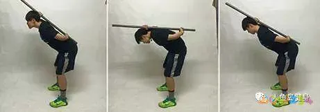 关节损伤运动深蹲髋关节疼痛_深蹲髋关节运动损伤_深蹲髋关节做什么运动