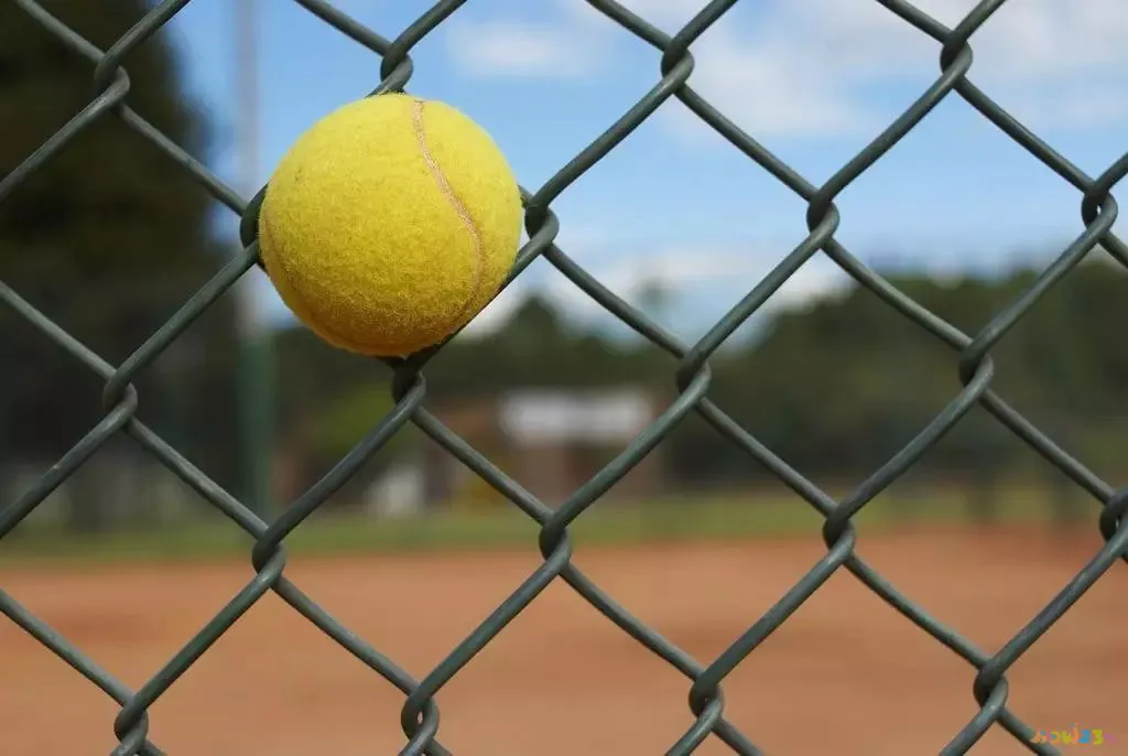 减肥运动瘦全身完整版30分钟_减肥运动_减肥运动最佳时间段是几点多久