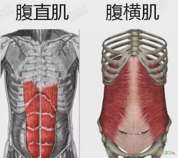 瘦小腿运动图解_腰拉伸运动图解_瘦腰运动图解