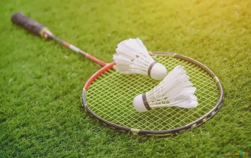 跳绳是有氧呼吸吗_室内跳绳是有氧运动吗_跳绳有氧运动无氧运动