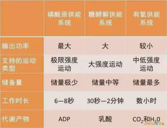 运动期减脂无氧可以吗_减脂期无氧运动_减肥无氧运动