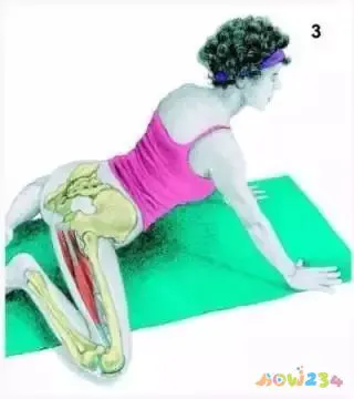 拉伸运动图片动作视频_拉伸运动图片动作大全_运动拉伸动作图片