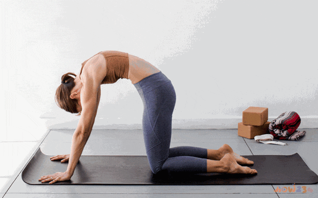 睡前运动瘦腰_睡前瘦腰腹运动操_睡前瘦腰腹小动作