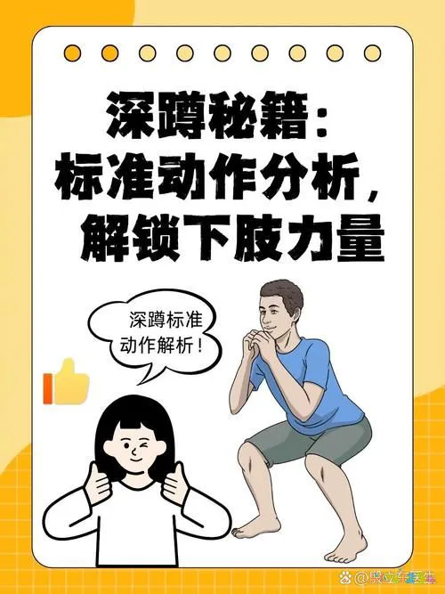 深蹲髋关节运动损伤_深蹲对髋关节骨头有伤害吗_深蹲髋关节受伤