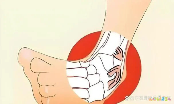 做拉伸运动能减肥吗_体能动态拉伸_拉伸动作可以减肥吗