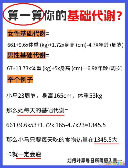 运动代谢率高好还是低好_运动代谢公式_运动代谢怎么算