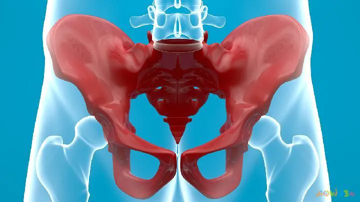 白领坐着减肥的四个方法