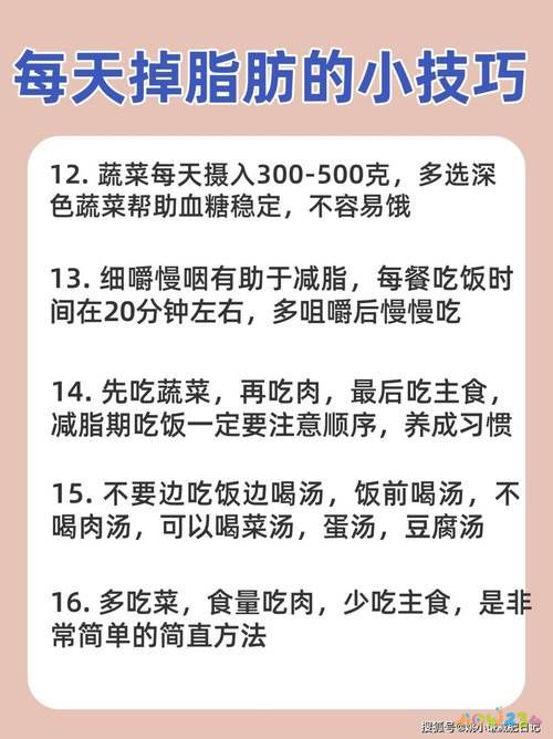 运动减肥爱反弹吗_不喜欢运动怎么减肥_减肥时运动