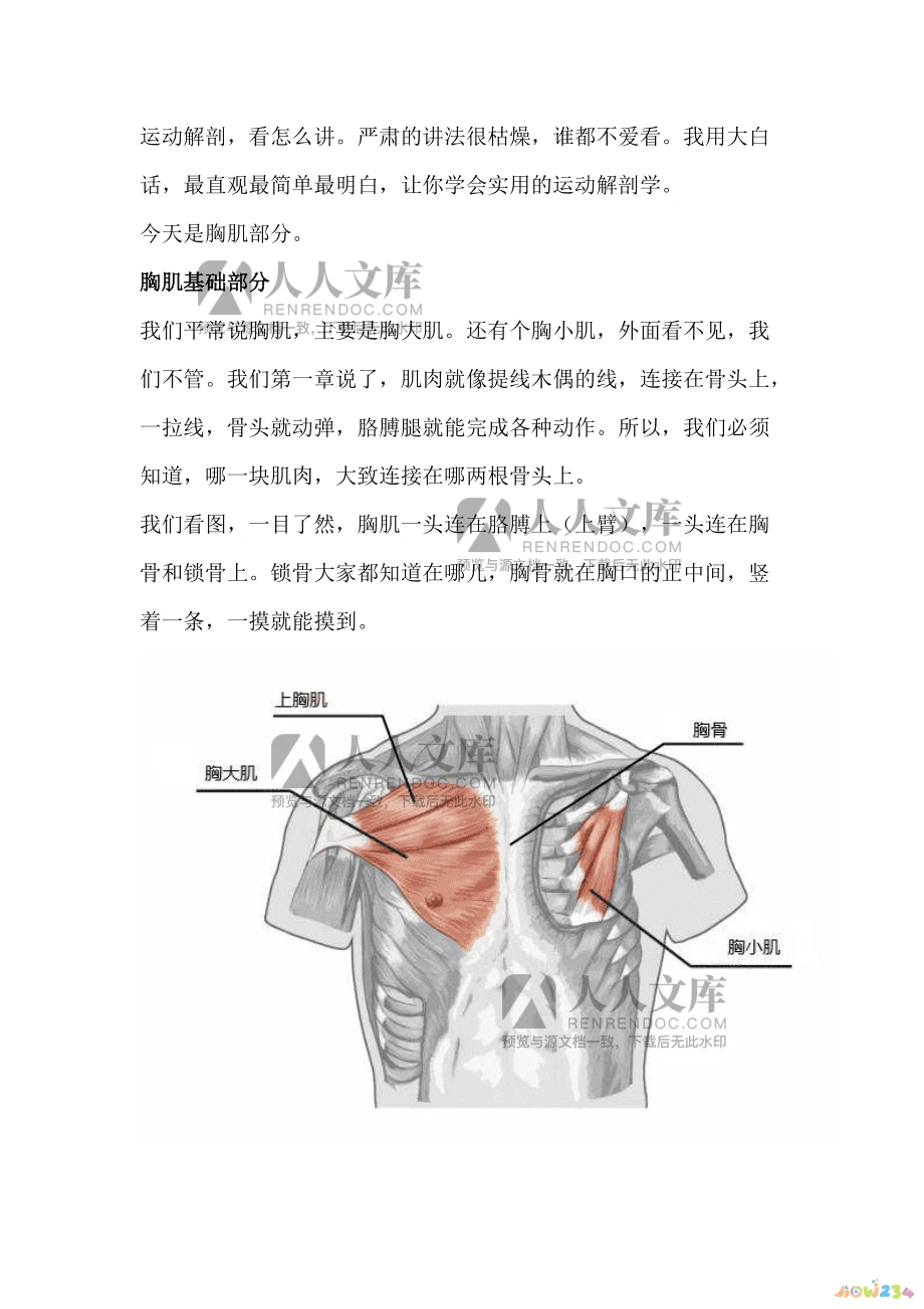 无氧运动能量消耗计算_无氧运动能消耗脂肪吗_运动中脂肪能量供应
