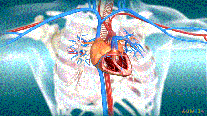 运动掺杂氧无氧有什么好处_氧运动和无氧运动_有氧运动掺杂无氧运动