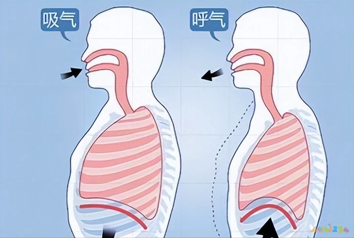 肥胖体虚的人适合什么运动_肥胖适合那些运动_强直性脊柱炎适合运动