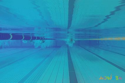 减肥运动的最佳时间_如何运动减肥_减肥运动计划