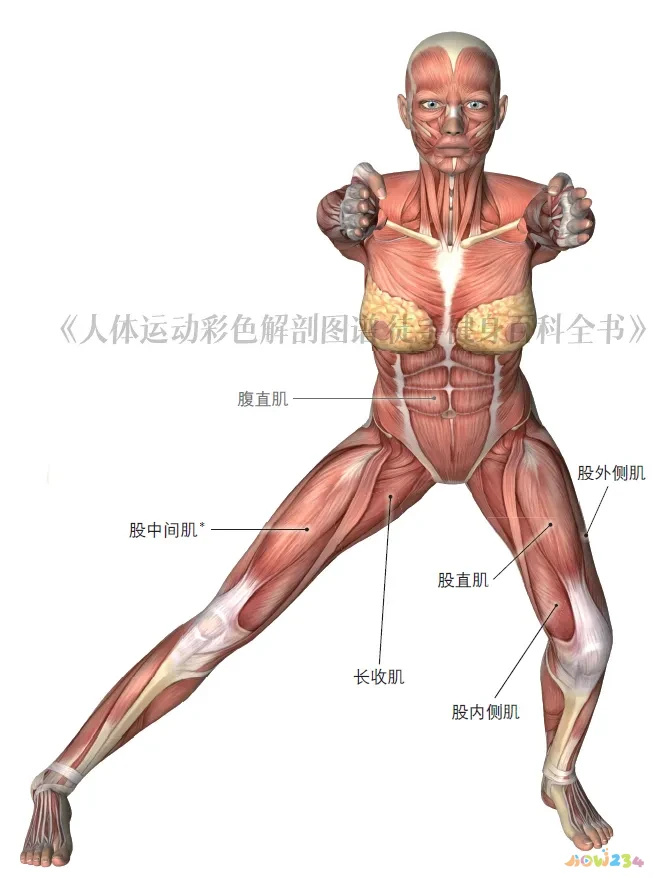 强度跑怎么跑_10公里跑的运动强度_高强度跑步减脂吗