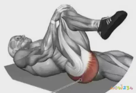 深蹲髋关节受伤_深蹲对髋关节骨头有伤害吗_深蹲髋关节运动损伤