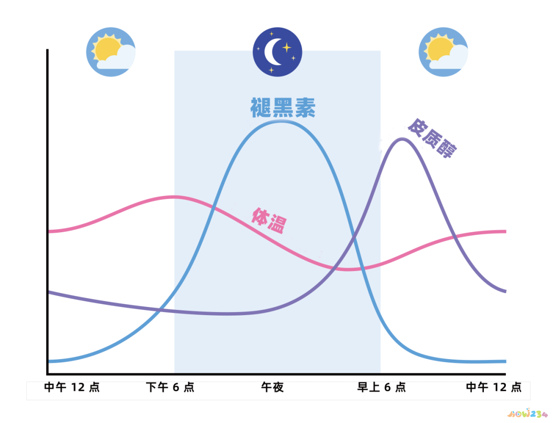 减肥运动反弹了怎么办_运动减肥反弹什么时候开始_反弹减肥开始运动时候怎么办