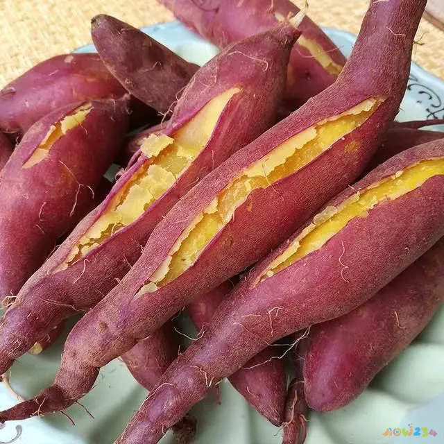 什么运动减背上的赘肉_减背部的肉做什么运动_减背上的赘肉视频教程