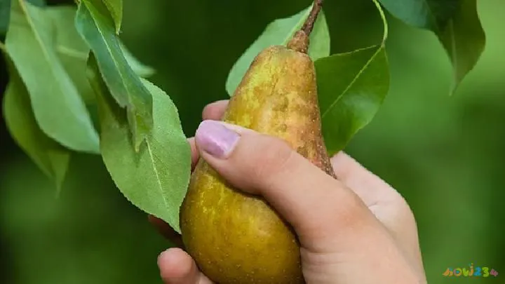 适合节后减肥的健身计划都有哪些 只控制饮食减肥效果很差吗