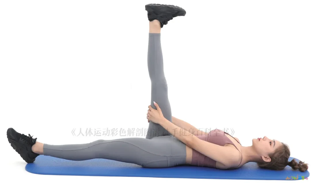 强度跑怎么跑_高强度跑步减脂吗_10公里跑的运动强度