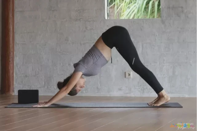 运动会完事之后的说说_运动会结束后的心情说说_运动完会重么