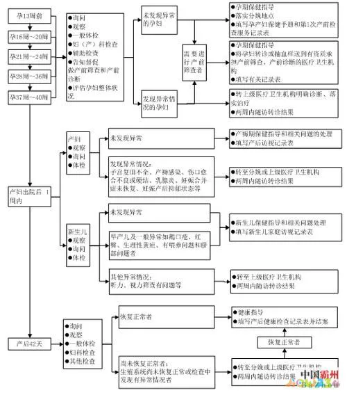 产妇运动瘦身操月子_产妇运动有助于产奶_产妇运动
