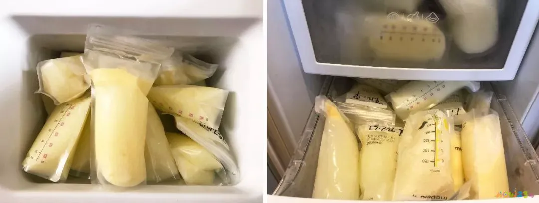 减腰腹赘肉运动视频_减运动肥_不运动两个月减四斤怎么减