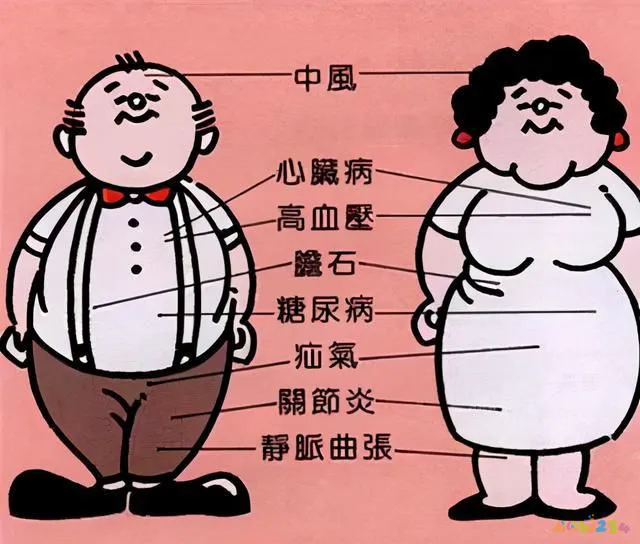 体重运动员_体重运动员平均寿命多少_越运动体重越重