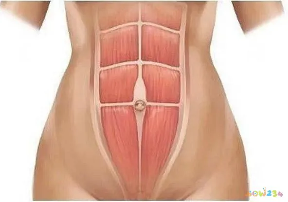 卷腹运动和仰卧起坐_坐仰卧运动起卷腹正常吗_坐仰卧运动起卷腹的好处