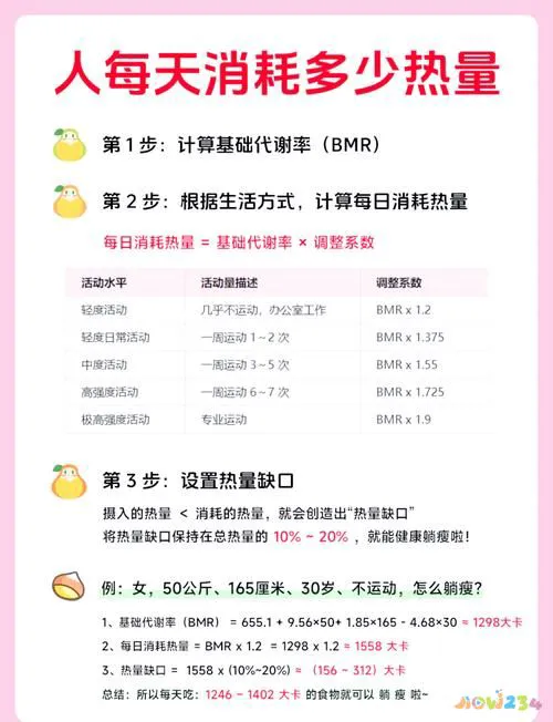 代谢与运动_运动代谢公式_运动代谢怎么算