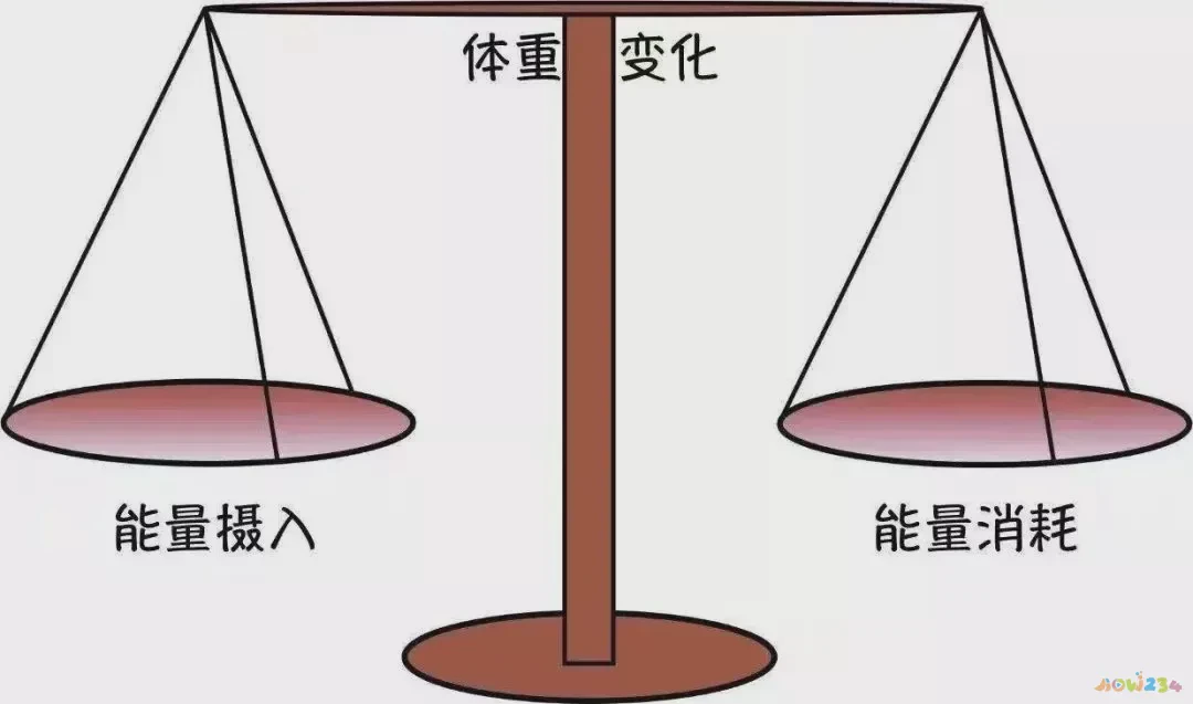 锻炼腹肌需要有氧运动吗_练腹肌要有氧还是无氧_腹肌要做有氧嘛