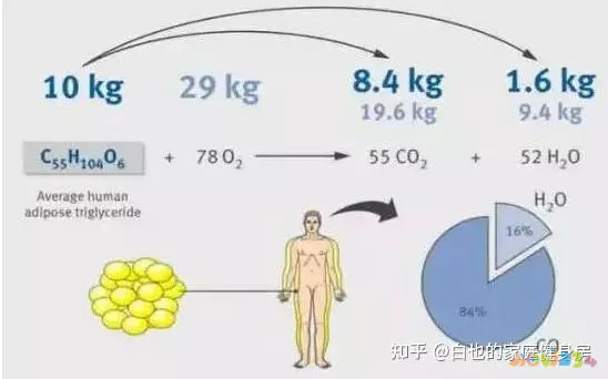 减脂运动 心率_心率多少适合减脂_心率在多少最减脂