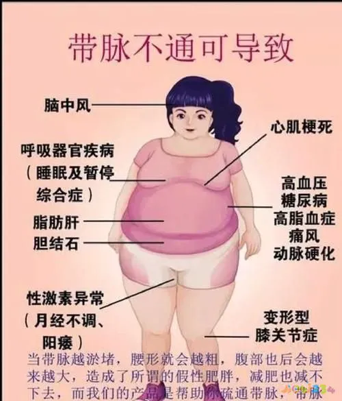 臂部减肥视频教程_臂部怎么减肥运动_瘦臂运动怎么写