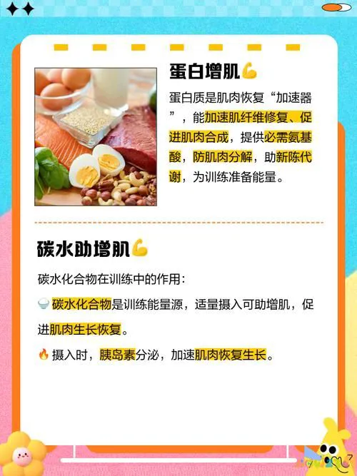 肌肉体积类型运动质量增加多少_以增加肌肉体积质量运动类型_肌肉体积增加原理是什么