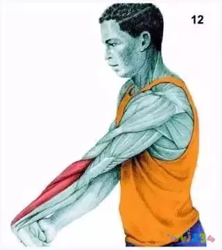 拉伸运动图片动作大全_拉伸运动图片动作视频_运动拉伸动作图片