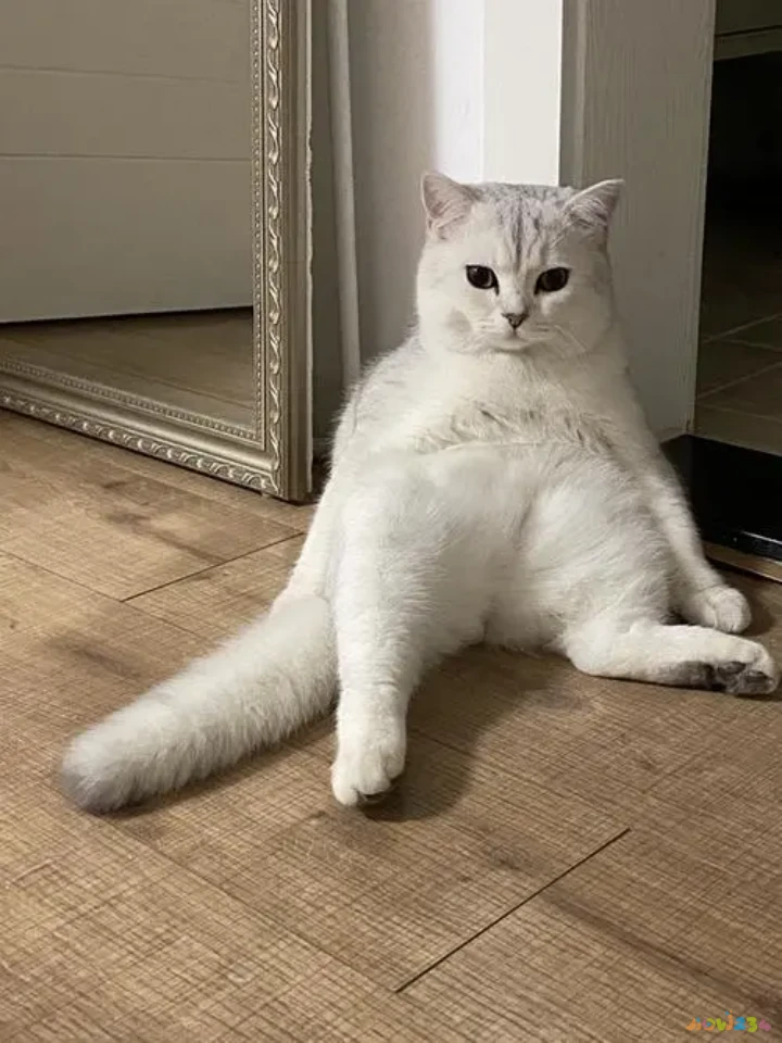 什么运动有助于腰部_腰部运动有什么_腰部助运动有哪些项目