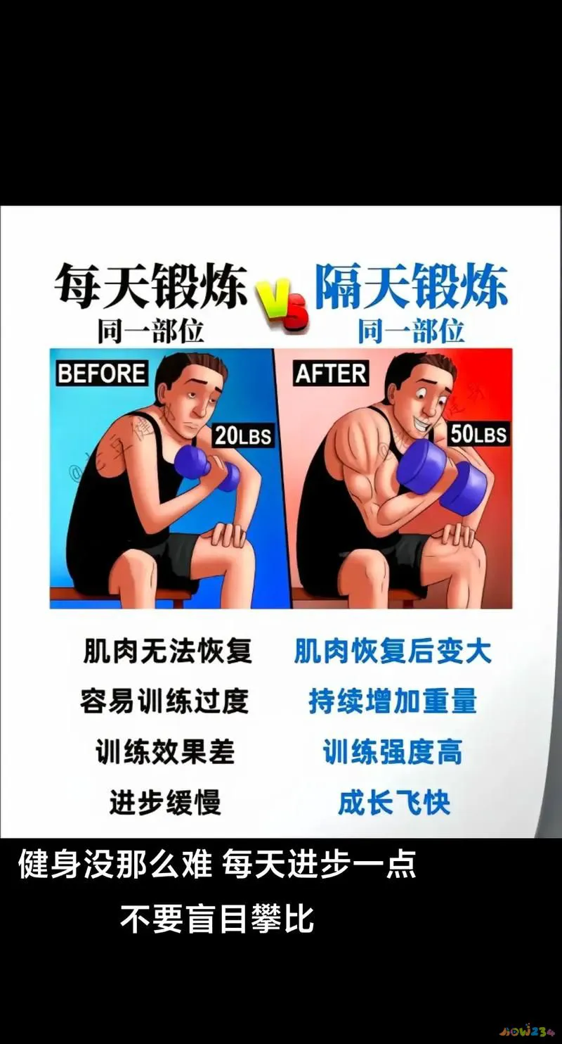 布偶猫不是满背影响下一代吗_诚成教育至金品质卷子的名字_瘦子健身是有氧运动